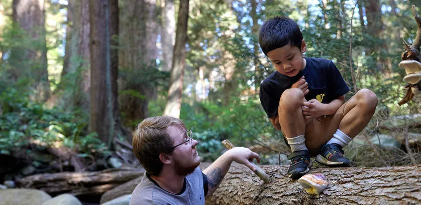 Saplings Nature School campus photo 15