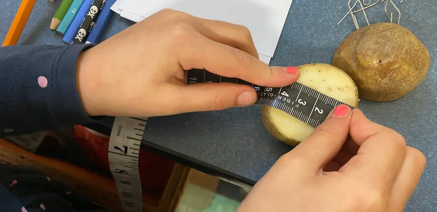 Saplings Nature School campus photo 17