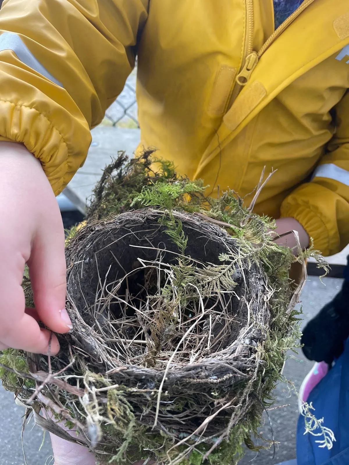 Saplings Nature School campus photo 25