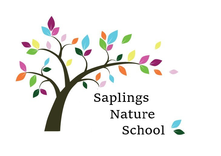 Saplings Nature School campus photo 26