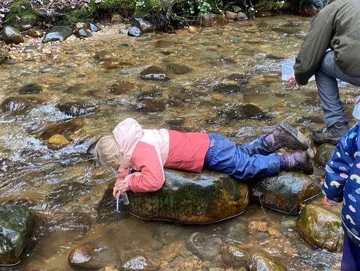 Saplings Nature School campus photo 4