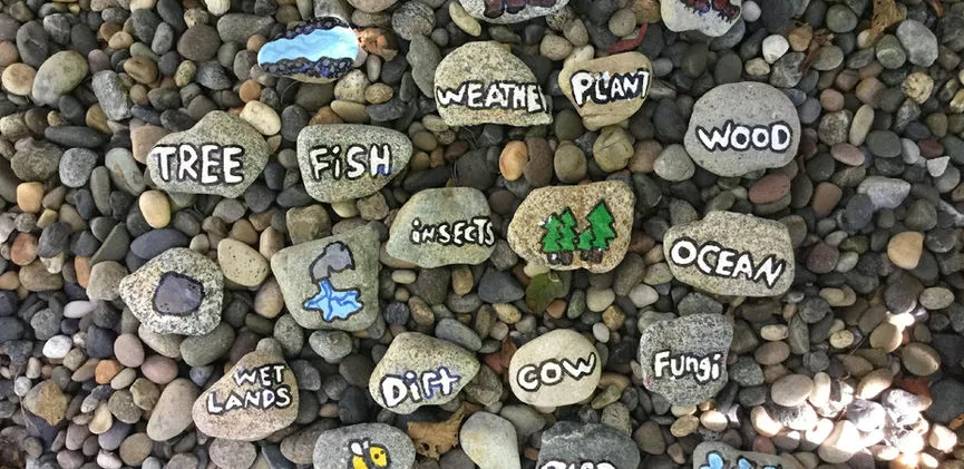 Saplings Nature School campus photo 8