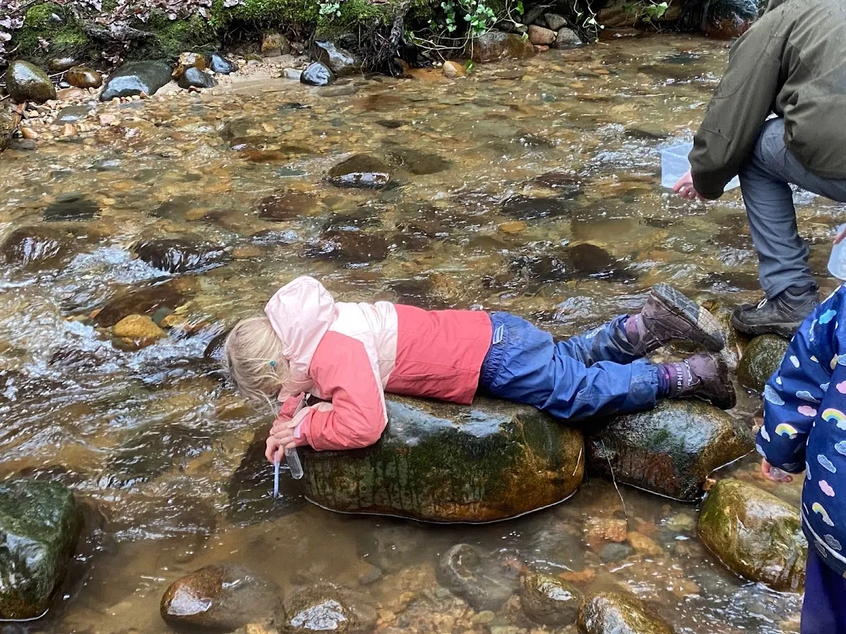 Saplings Nature School