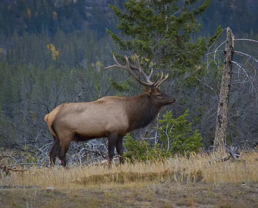 Willowdale High School campus photo 9