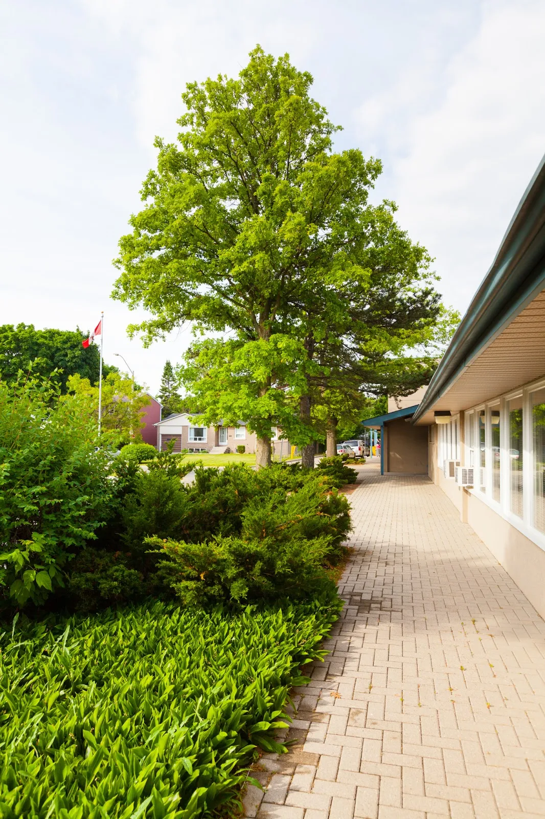 TEAM School campus photo 33