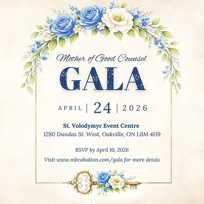 Mater Boni Consilii Academy campus photo 41