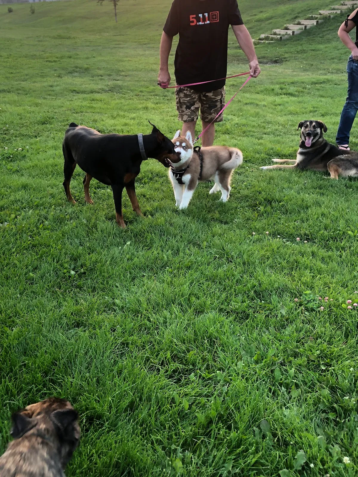 Coaldale Christian School campus photo 7