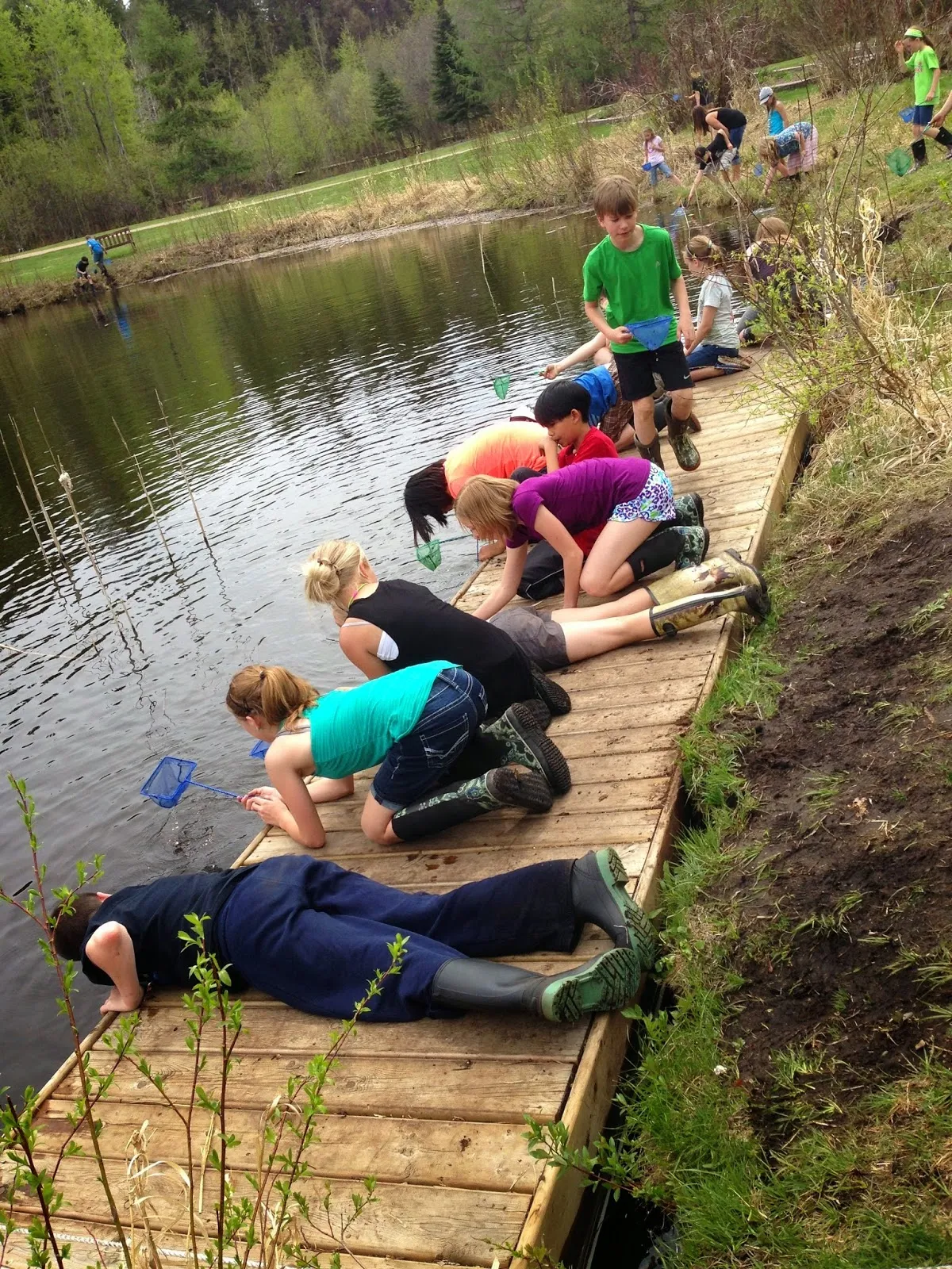 St. Matthew Lutheran Christian Academy campus photo 18