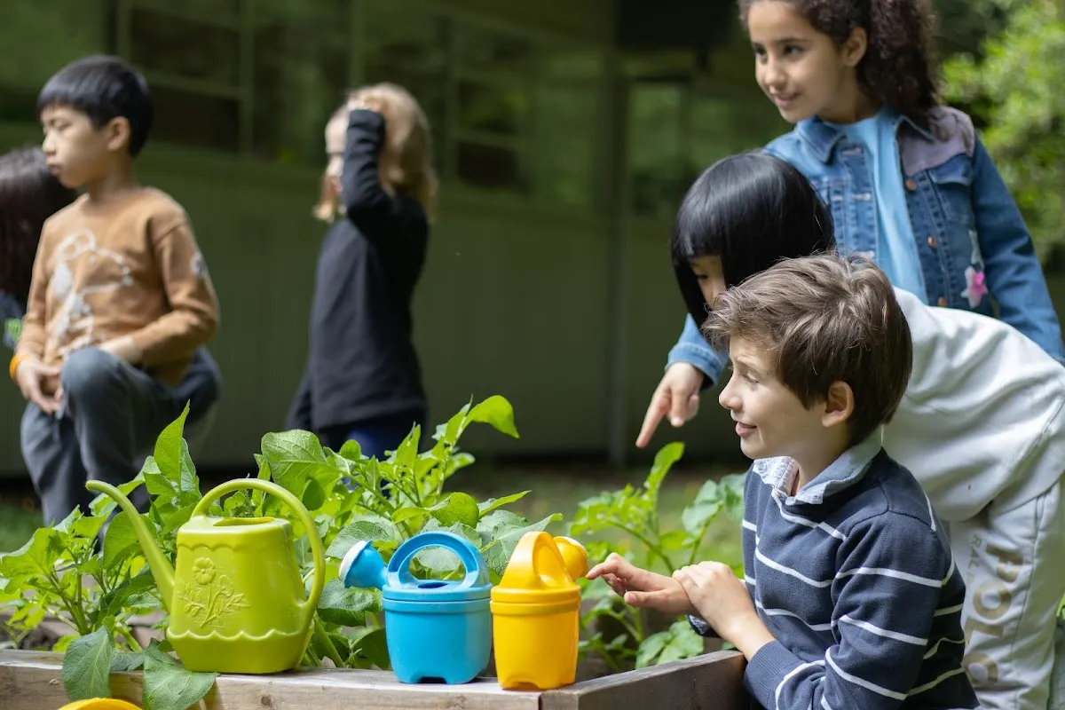 Cousteau, The French International School of Vancouver campus photo 13
