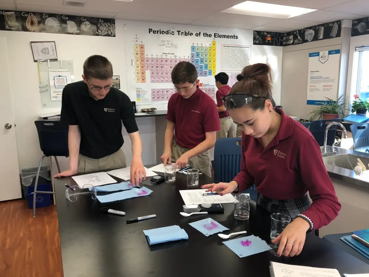 Edison School campus photo 4