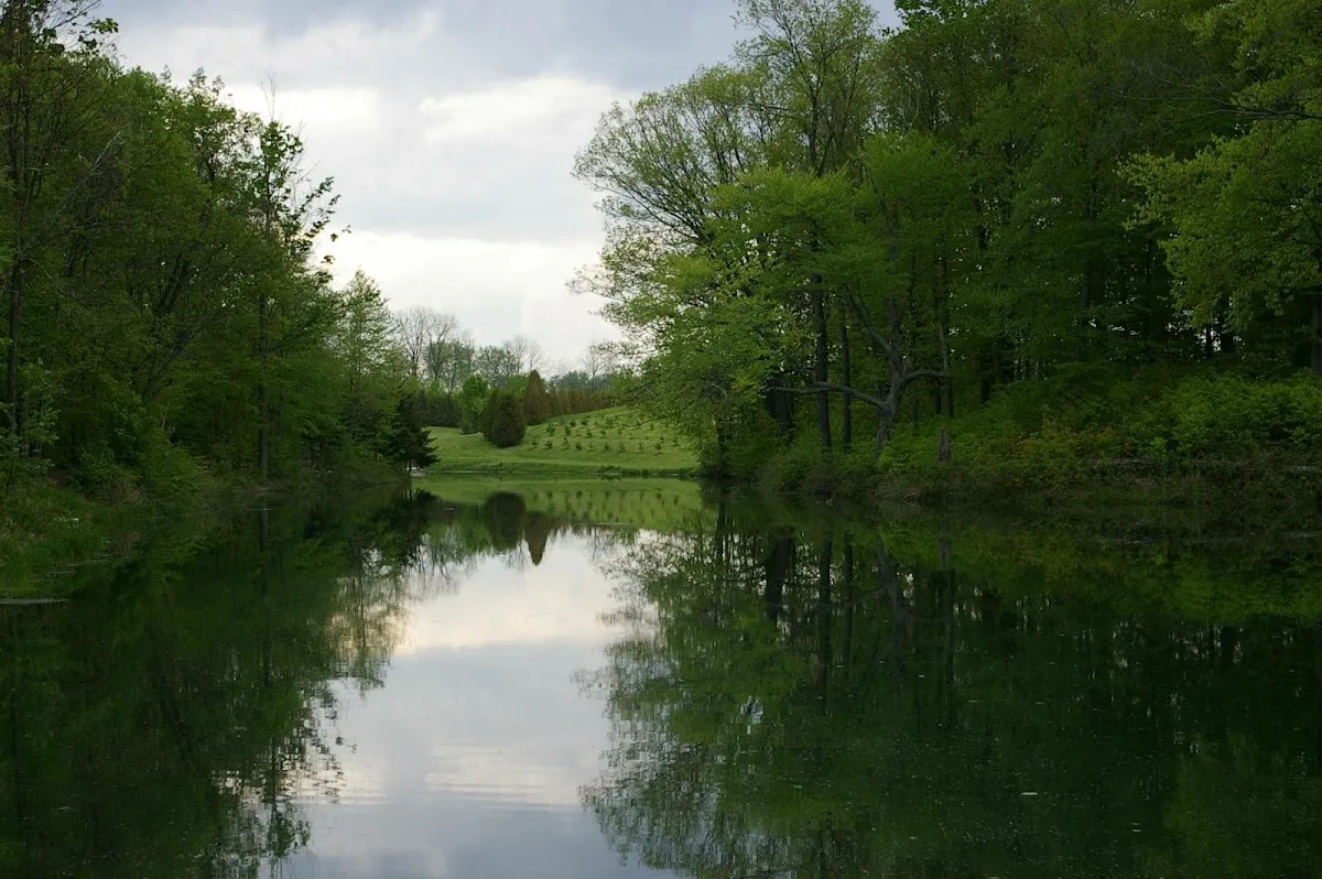 Lee Academy Private Elementary School campus photo 11