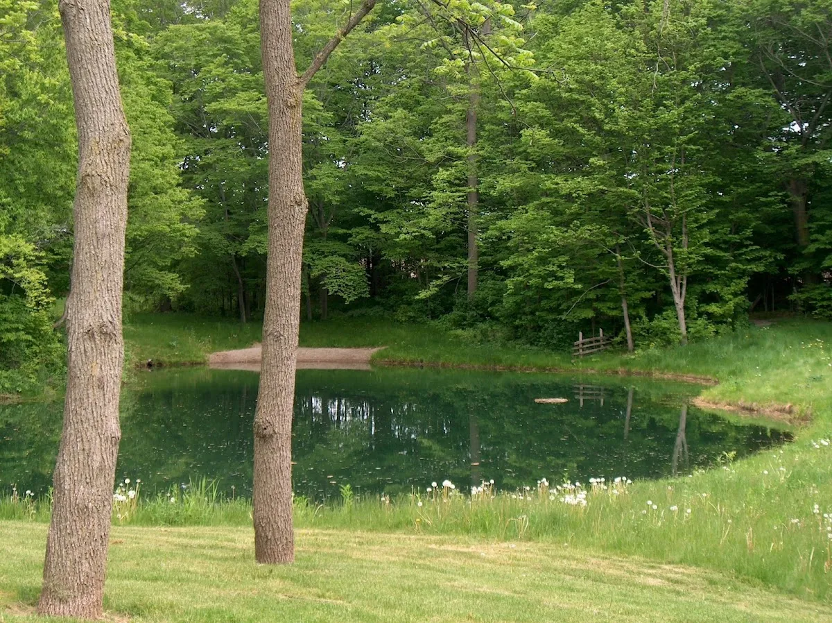 Lee Academy Private Elementary School campus photo 7