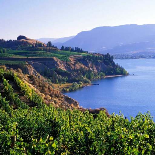 Unisus School campus photo 21