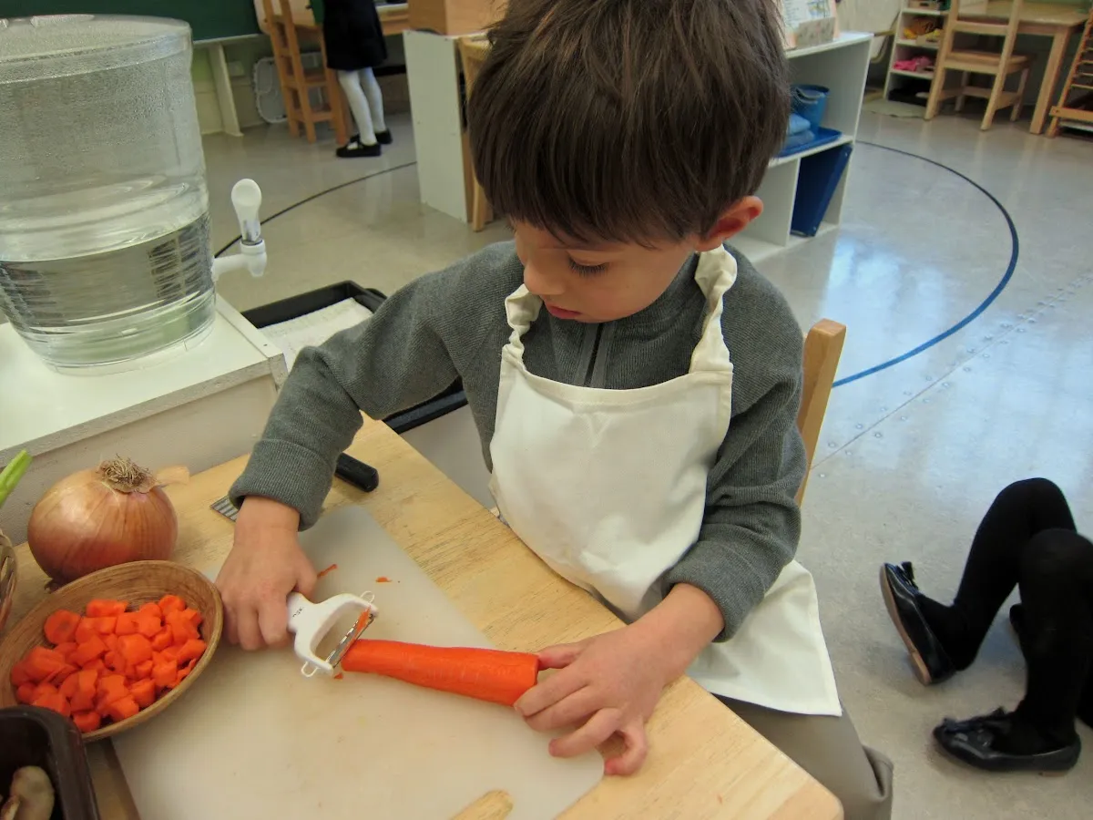 Montessori School of Calgary campus photo 18