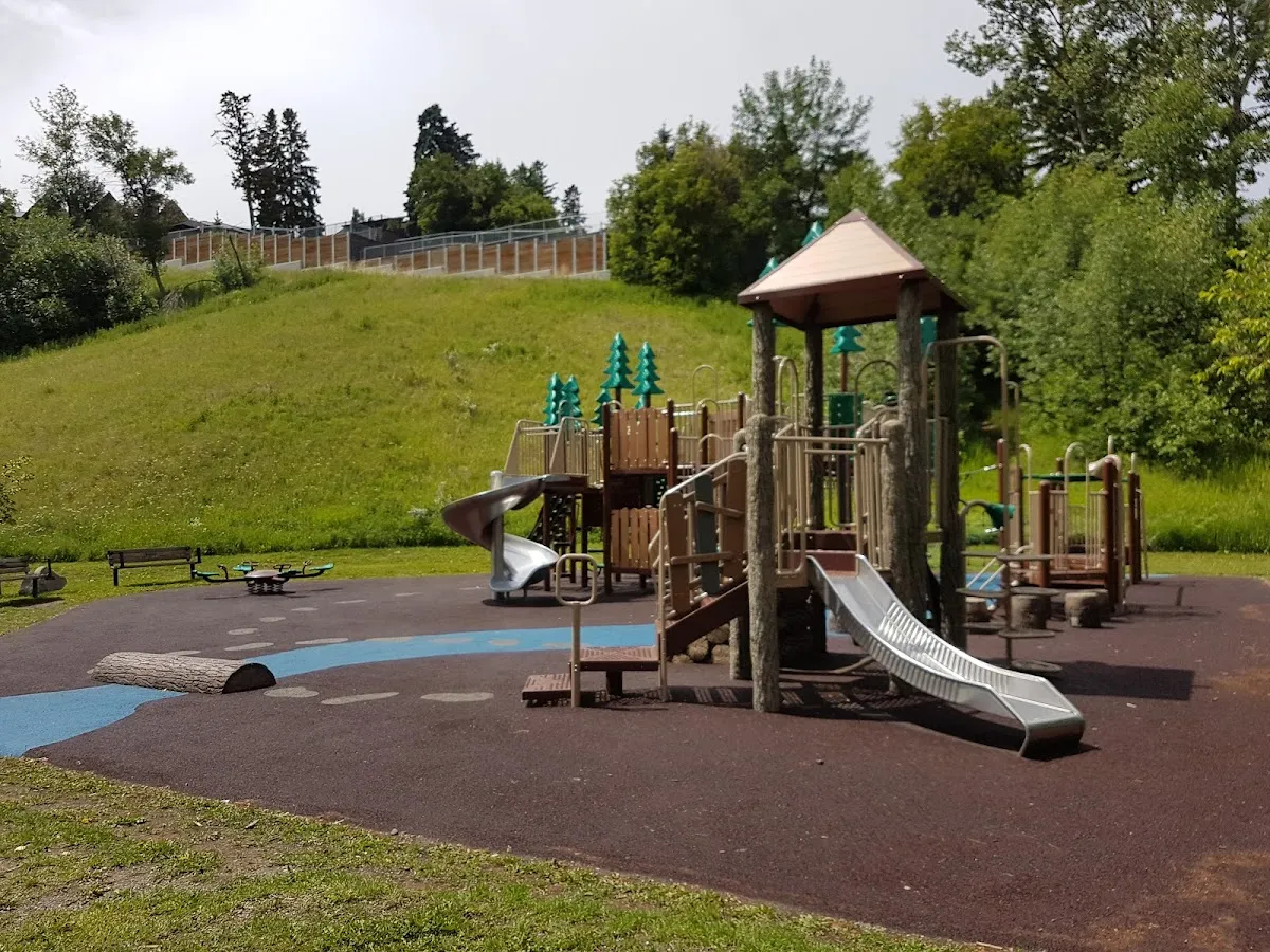 Montessori School of Calgary campus photo 20