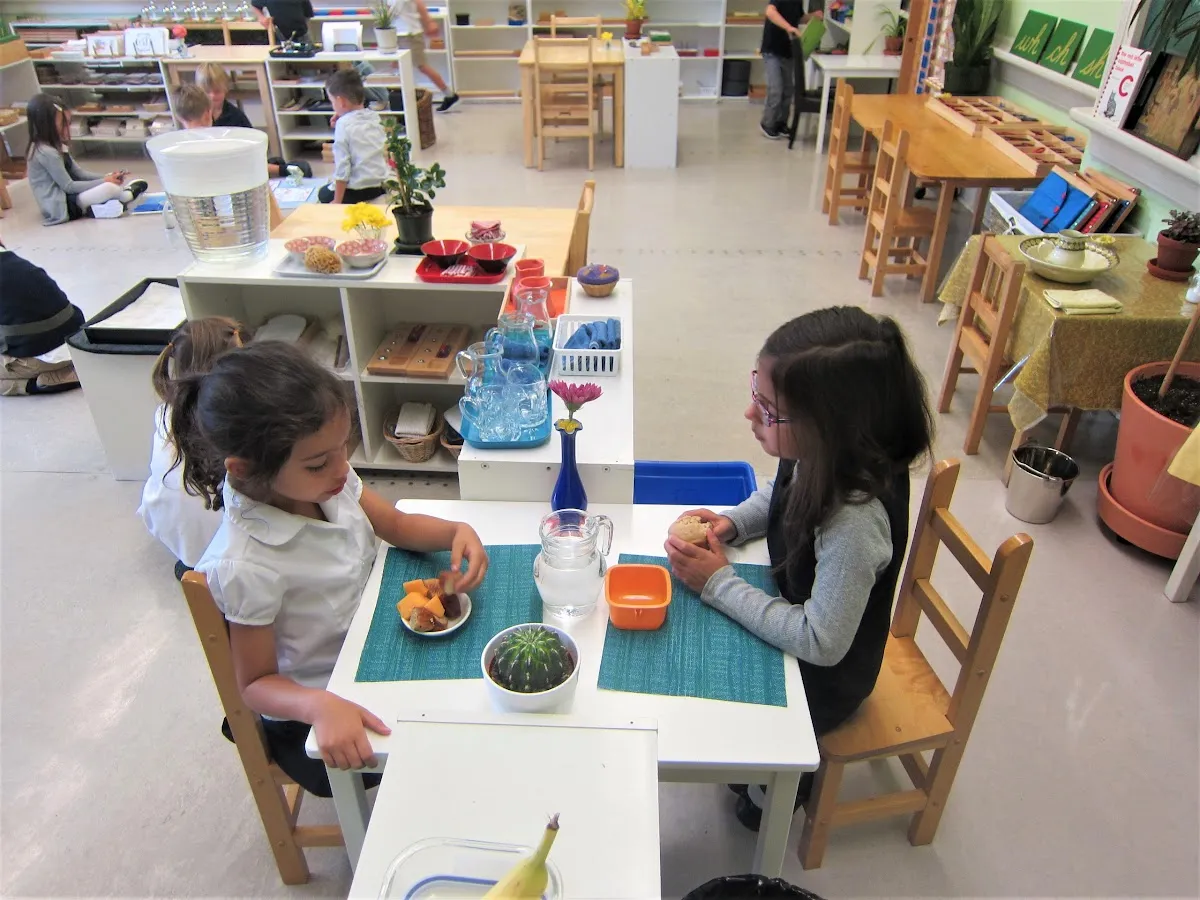 Montessori School of Calgary campus photo 4