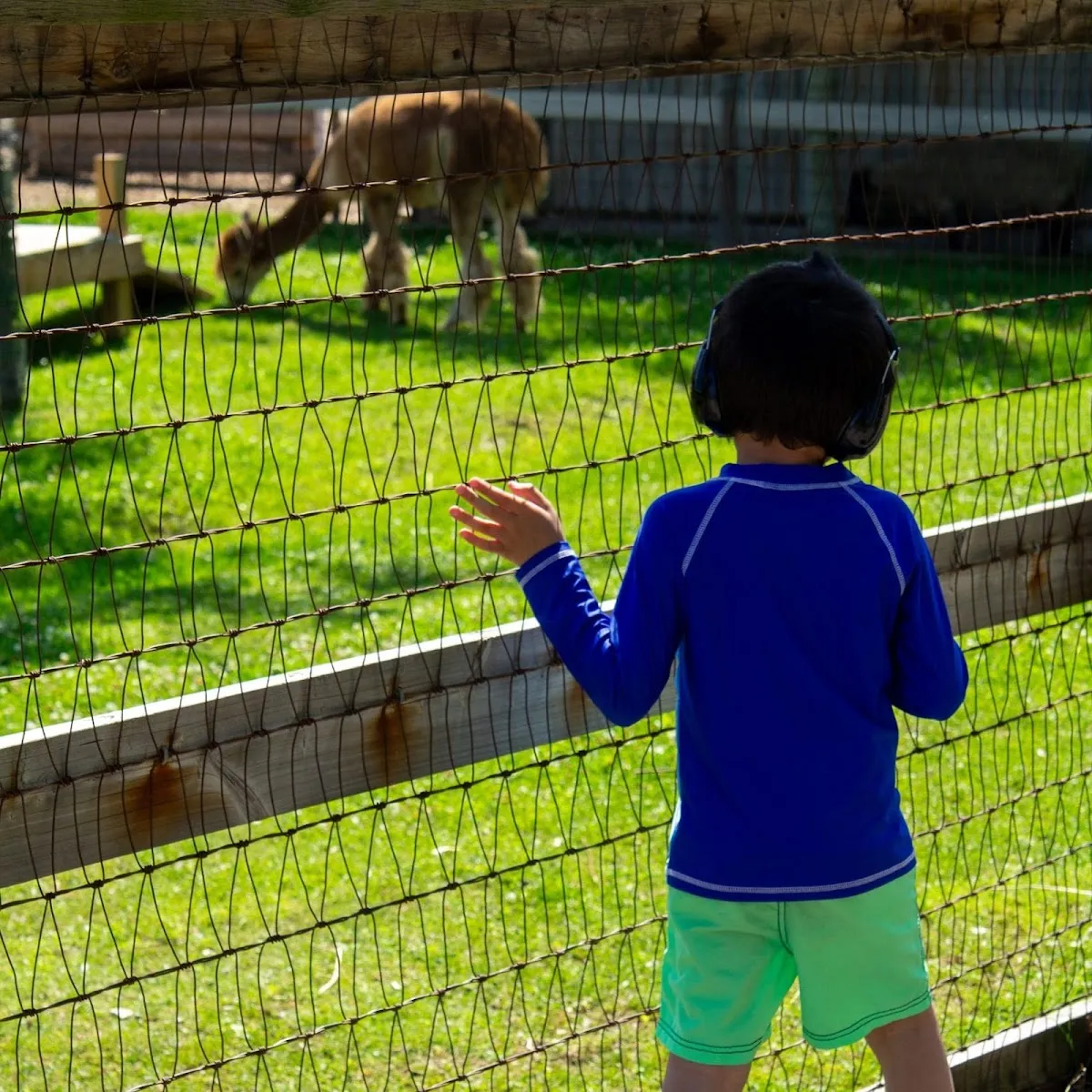 Oakwood Academy campus photo 16