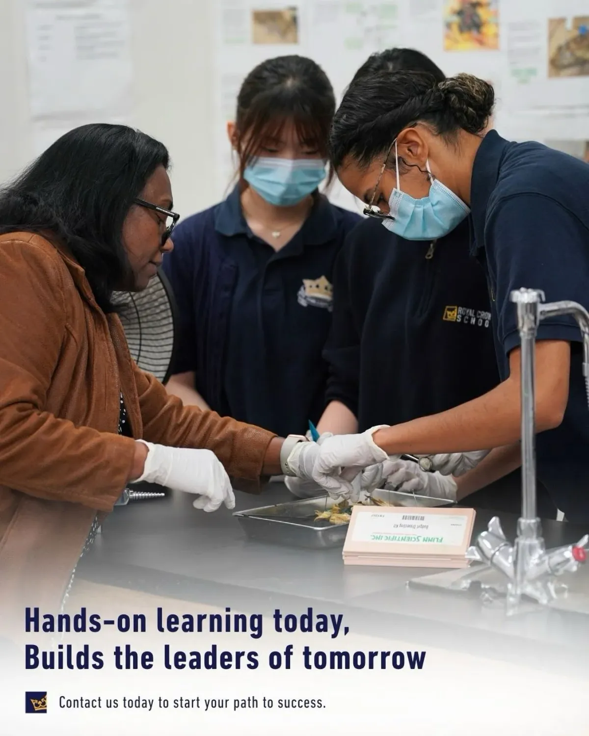 Royal Crown School campus photo 5