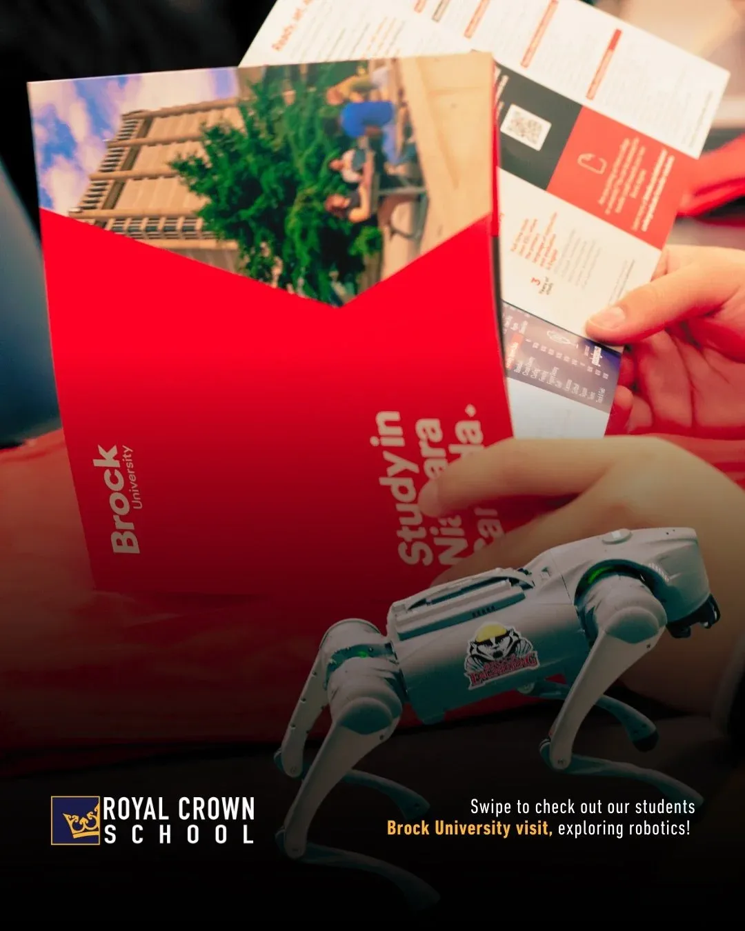 Royal Crown School campus photo 7