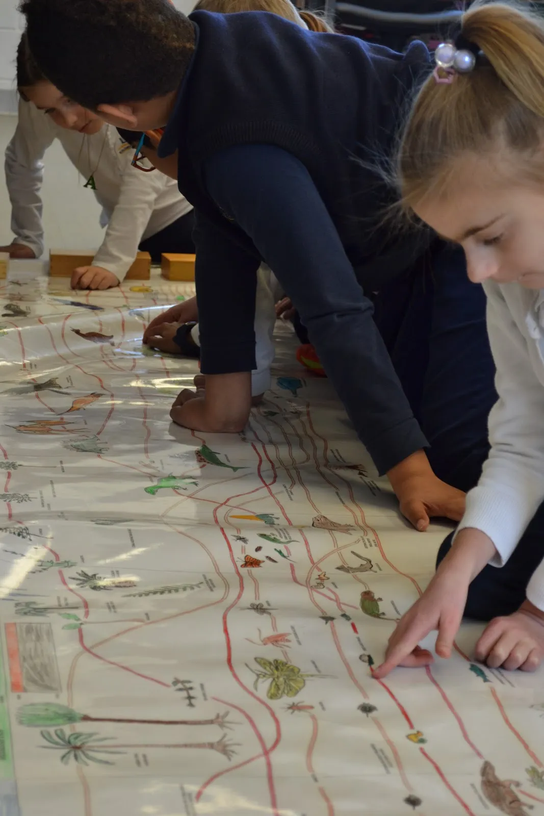 La Maison Montessori House campus photo 27