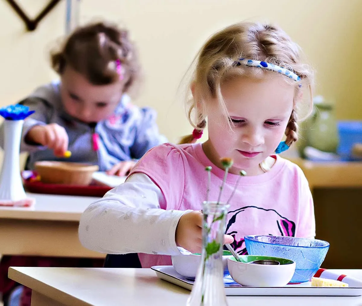 North Star Montessori Elementary School campus photo 15