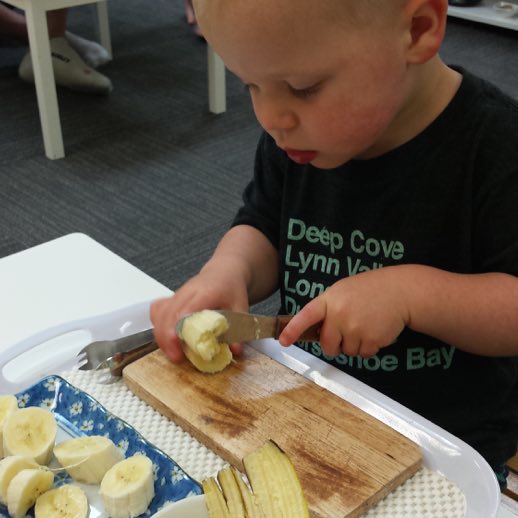 North Star Montessori Elementary School campus photo 19