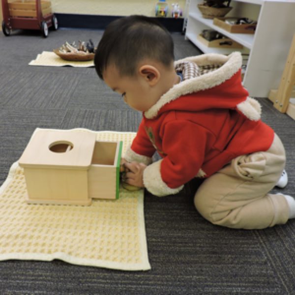 North Star Montessori Elementary School campus photo 4