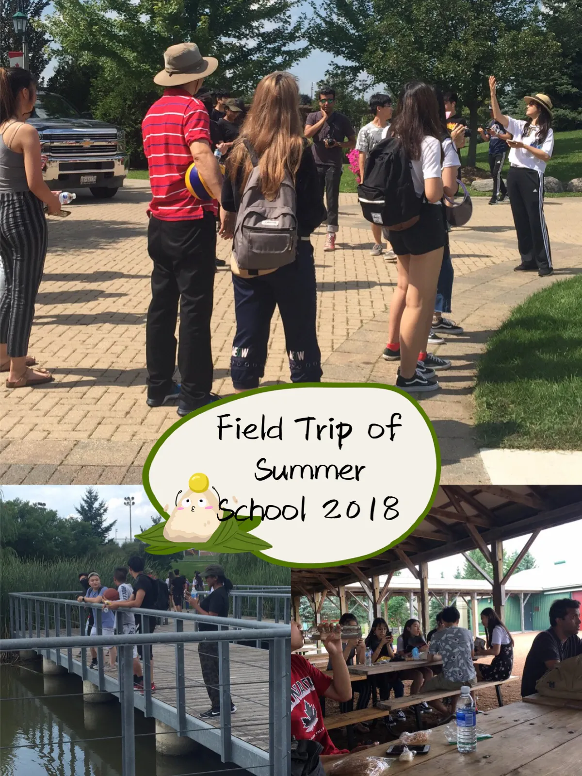 Alathena International Academy - Elgin M campus photo 16