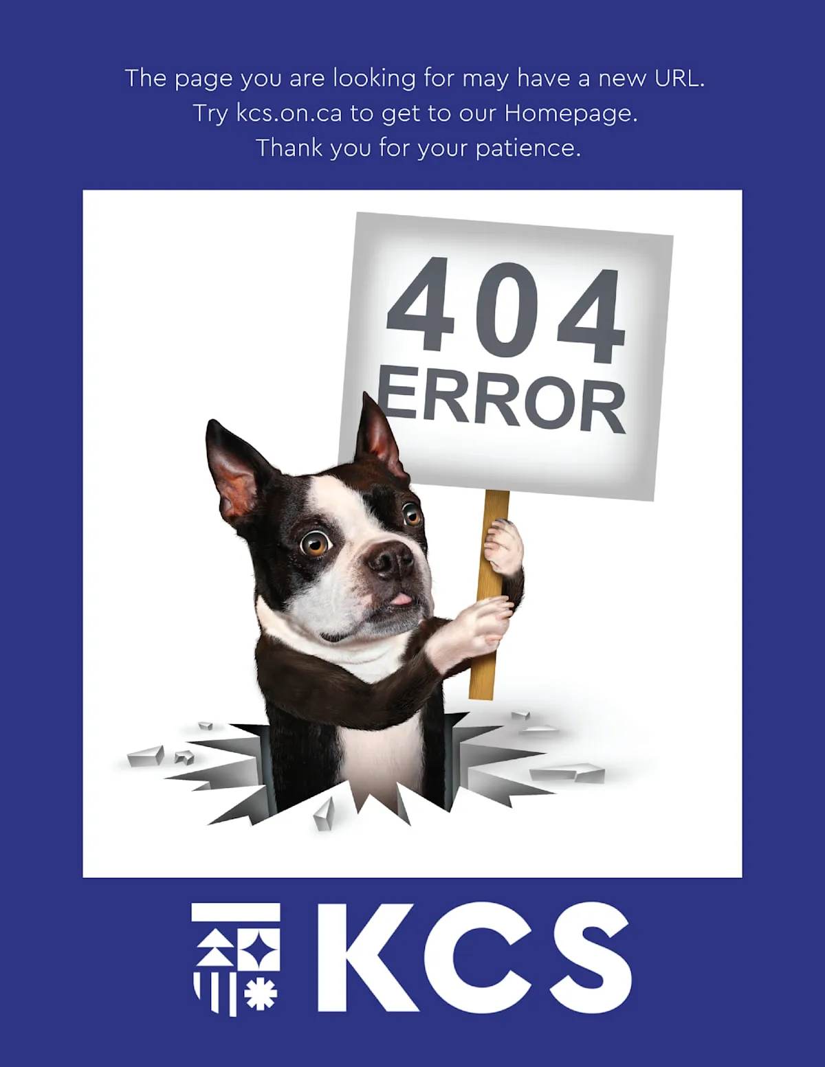 Kingsway College School campus photo 8