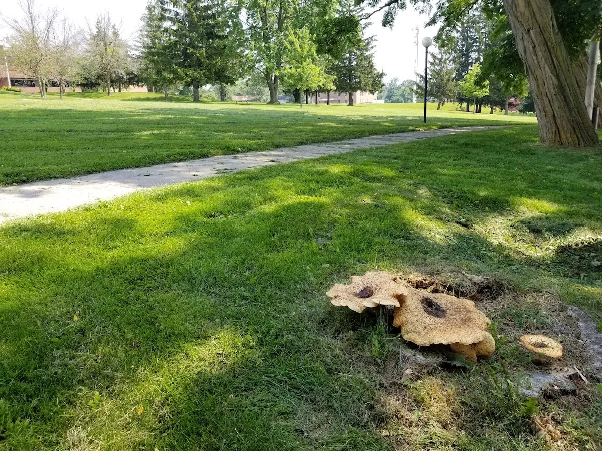 Kingsway College Private High School campus photo 29