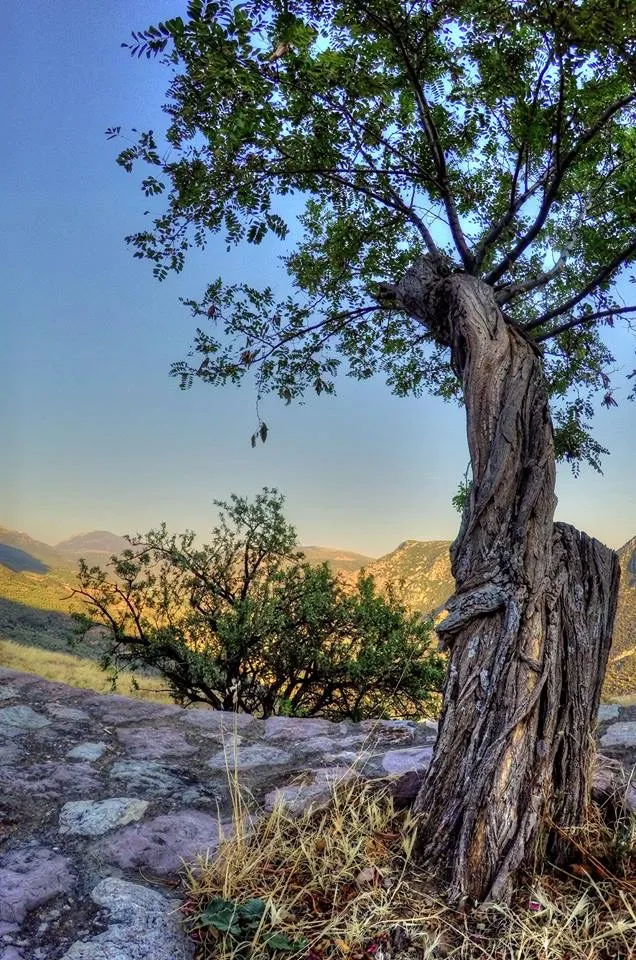 Global Journeys campus photo 2