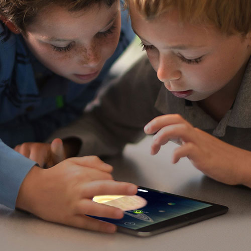 Kitchener Waterloo Bilingual School campus photo 6