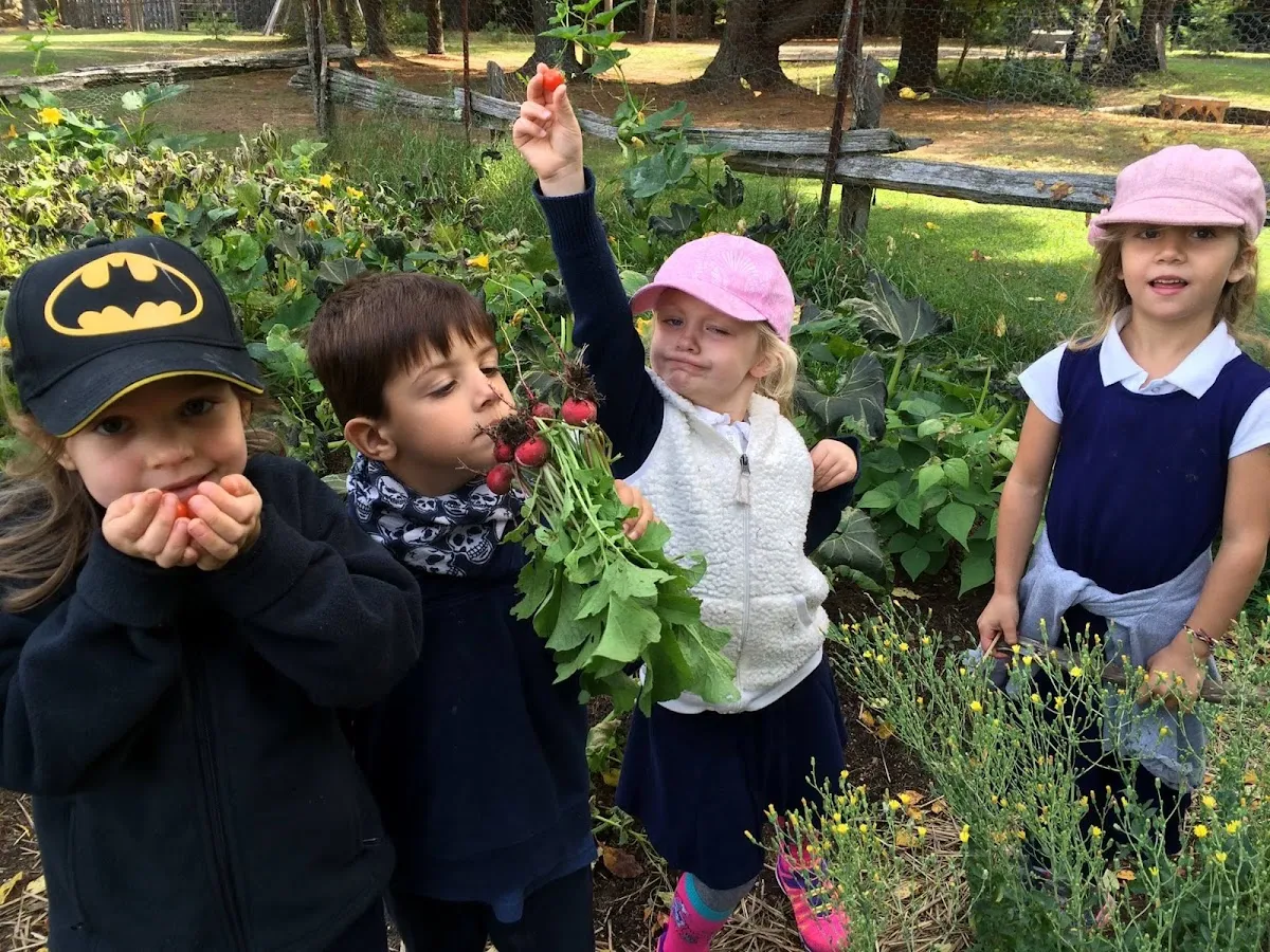 Tawingo College campus photo 7