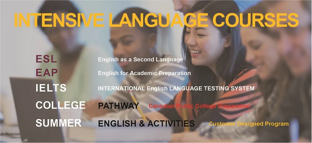 Toronto International College campus photo 3