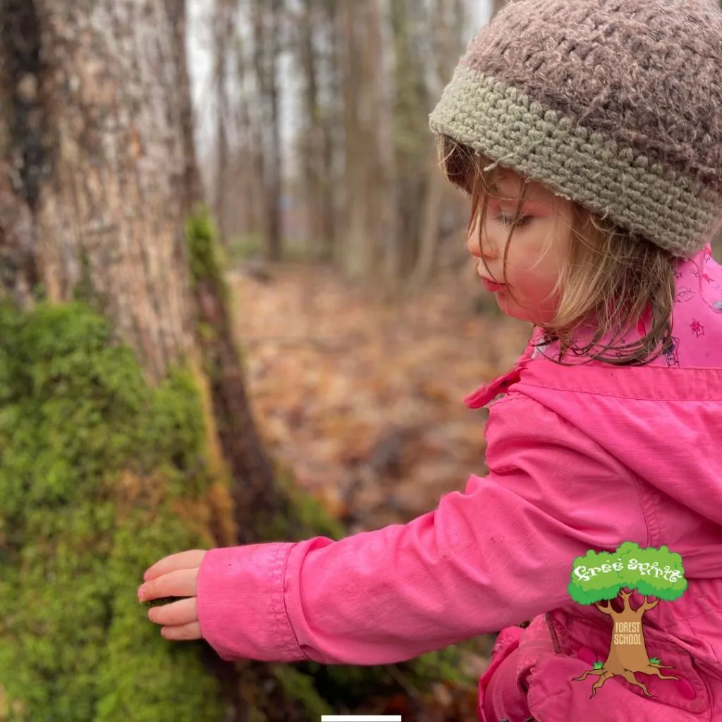 Free Spirit Forest and Nature School campus photo 1