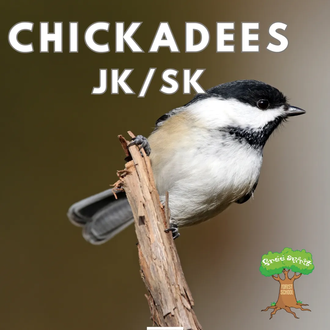 Free Spirit Forest and Nature School campus photo 2