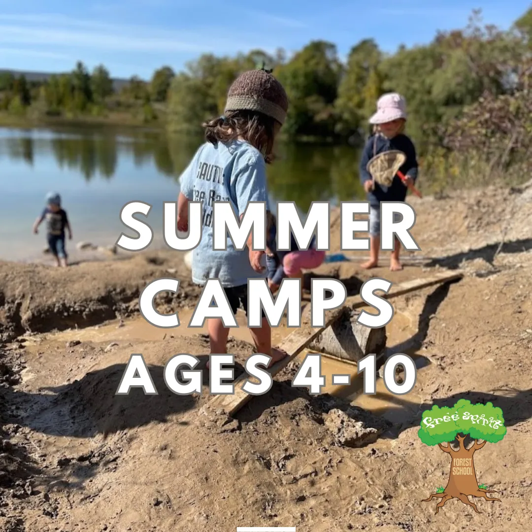 Free Spirit Forest and Nature School campus photo 11