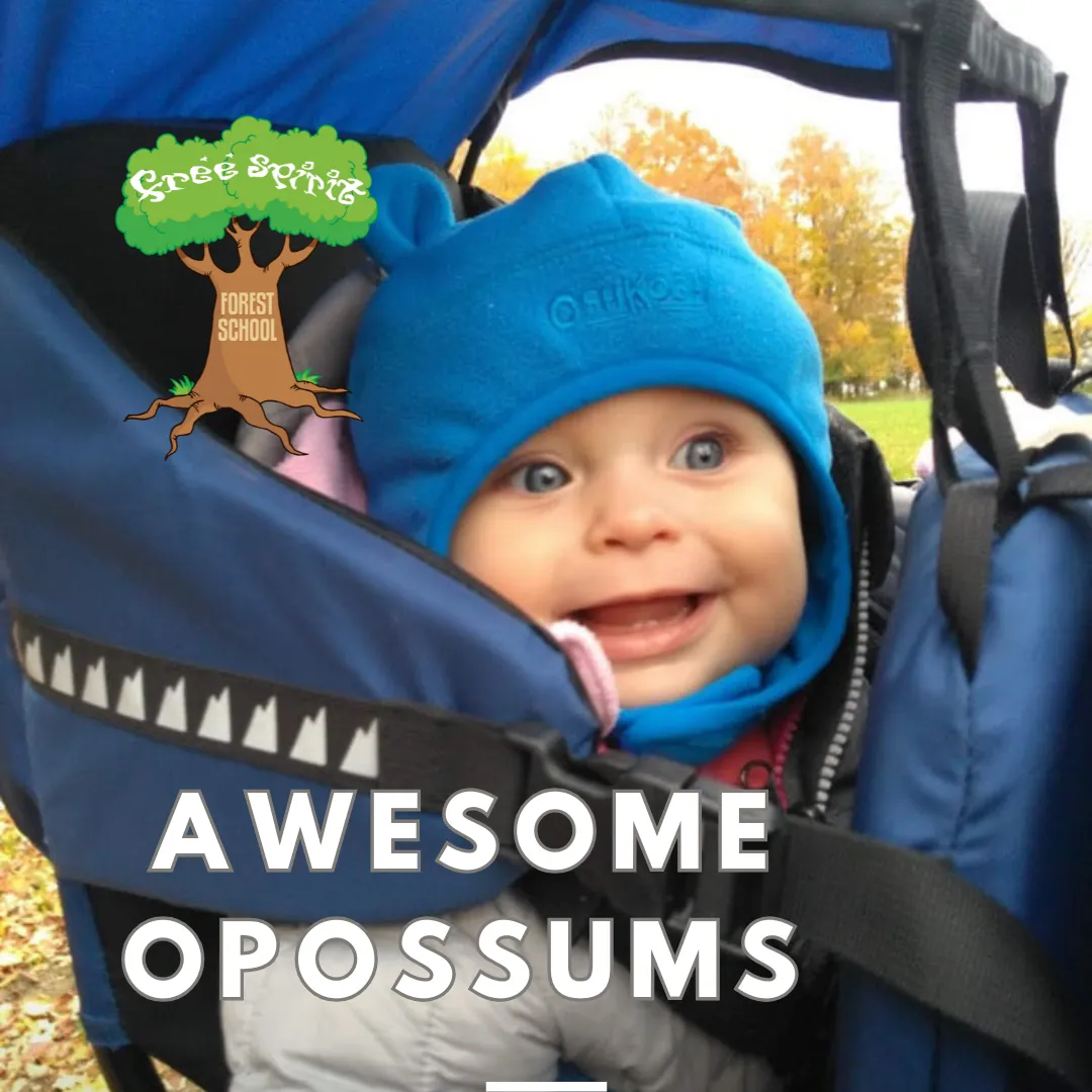 Free Spirit Forest and Nature School campus photo 12