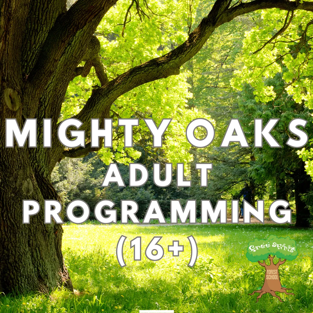 Free Spirit Forest and Nature School campus photo 13