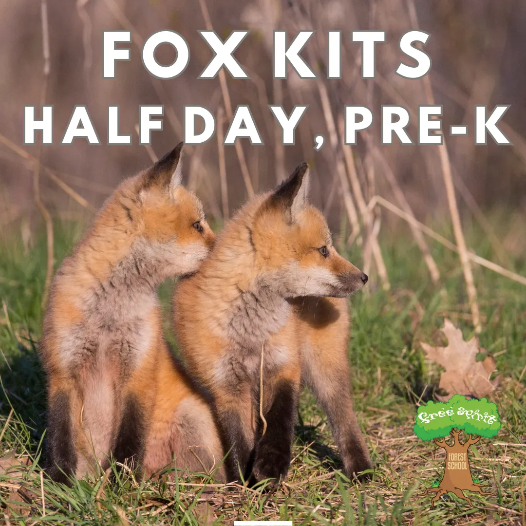 Free Spirit Forest and Nature School campus photo 14