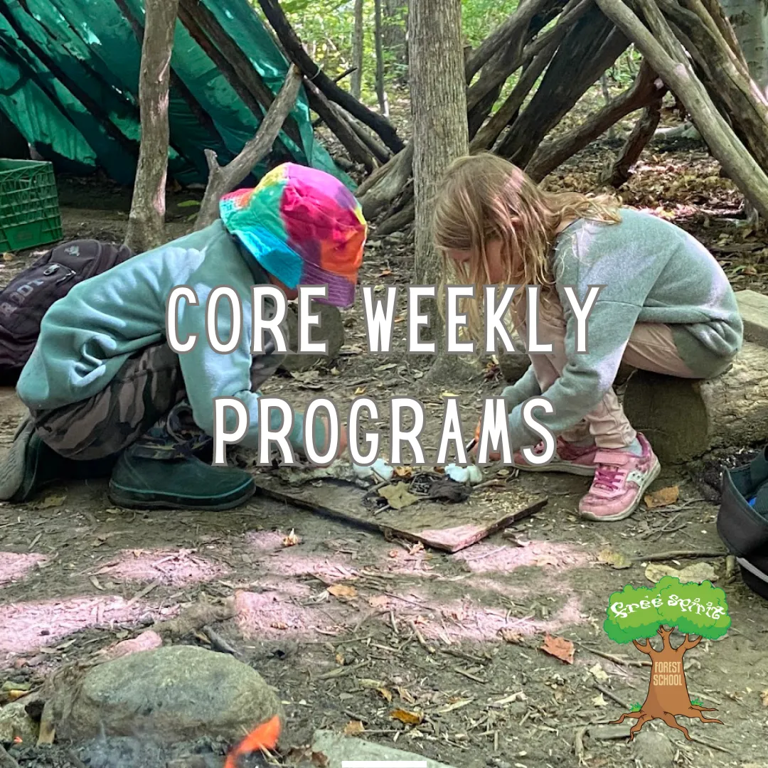 Free Spirit Forest and Nature School campus photo 15