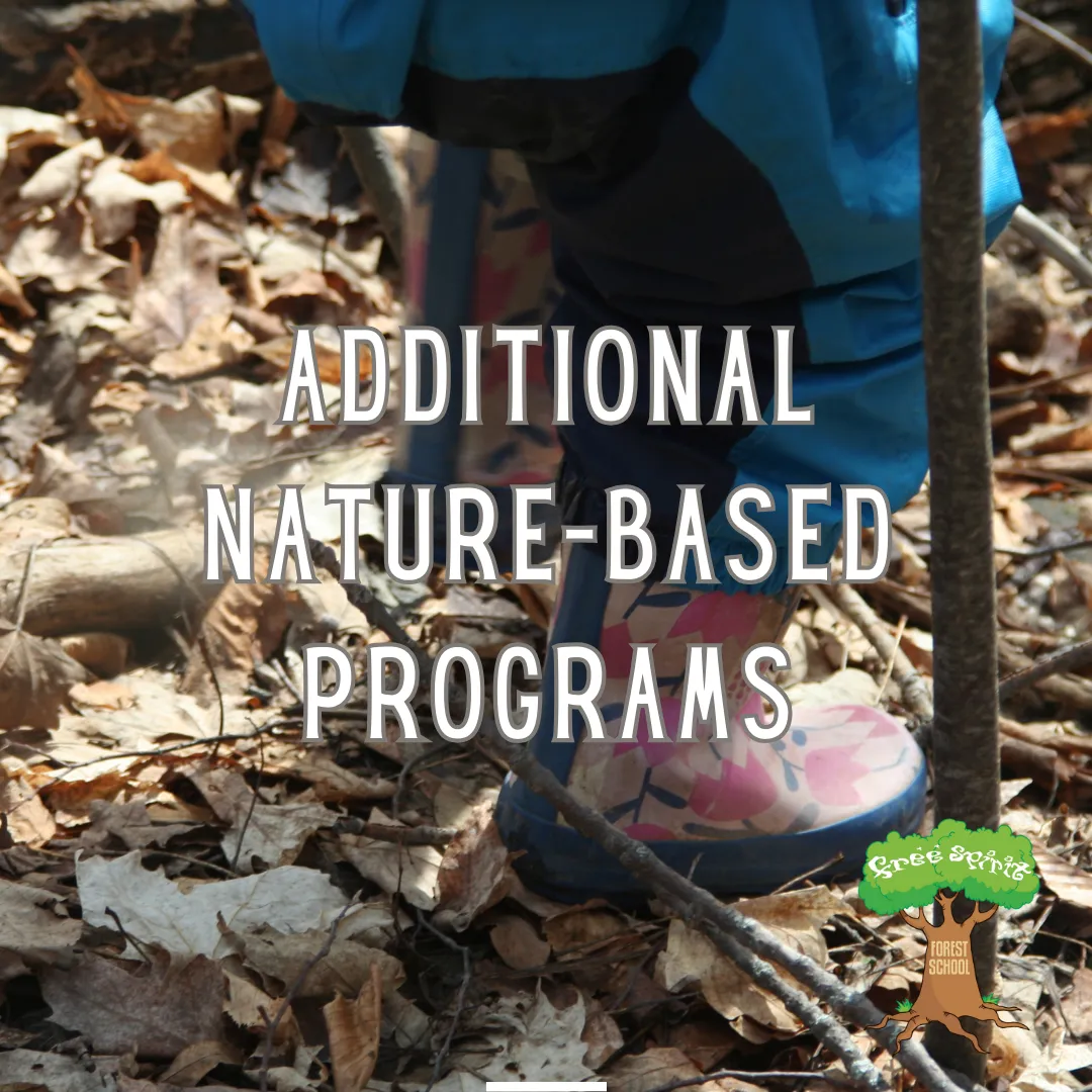 Free Spirit Forest and Nature School campus photo 16