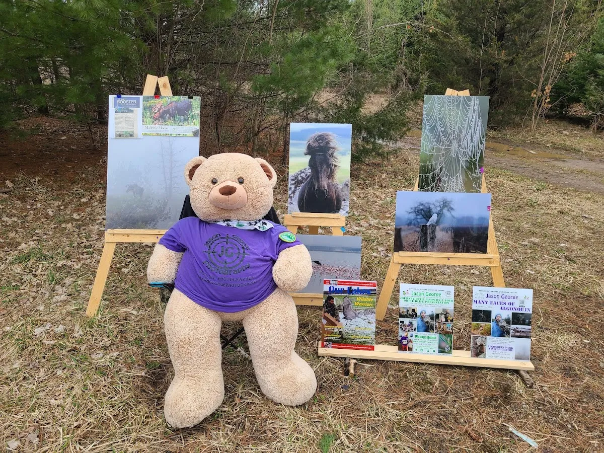 Free Spirit Forest and Nature School campus photo 30