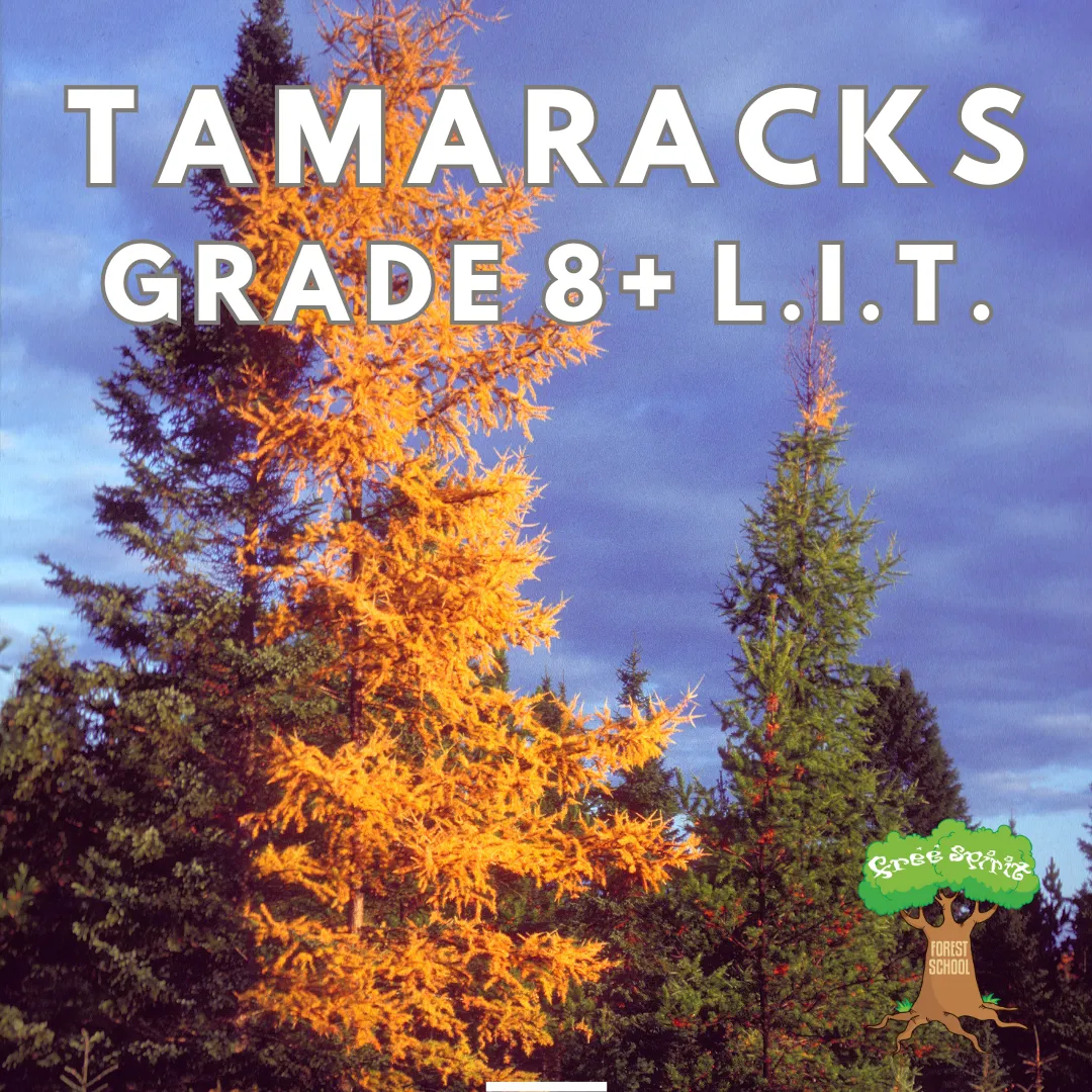 Free Spirit Forest and Nature School campus photo 5