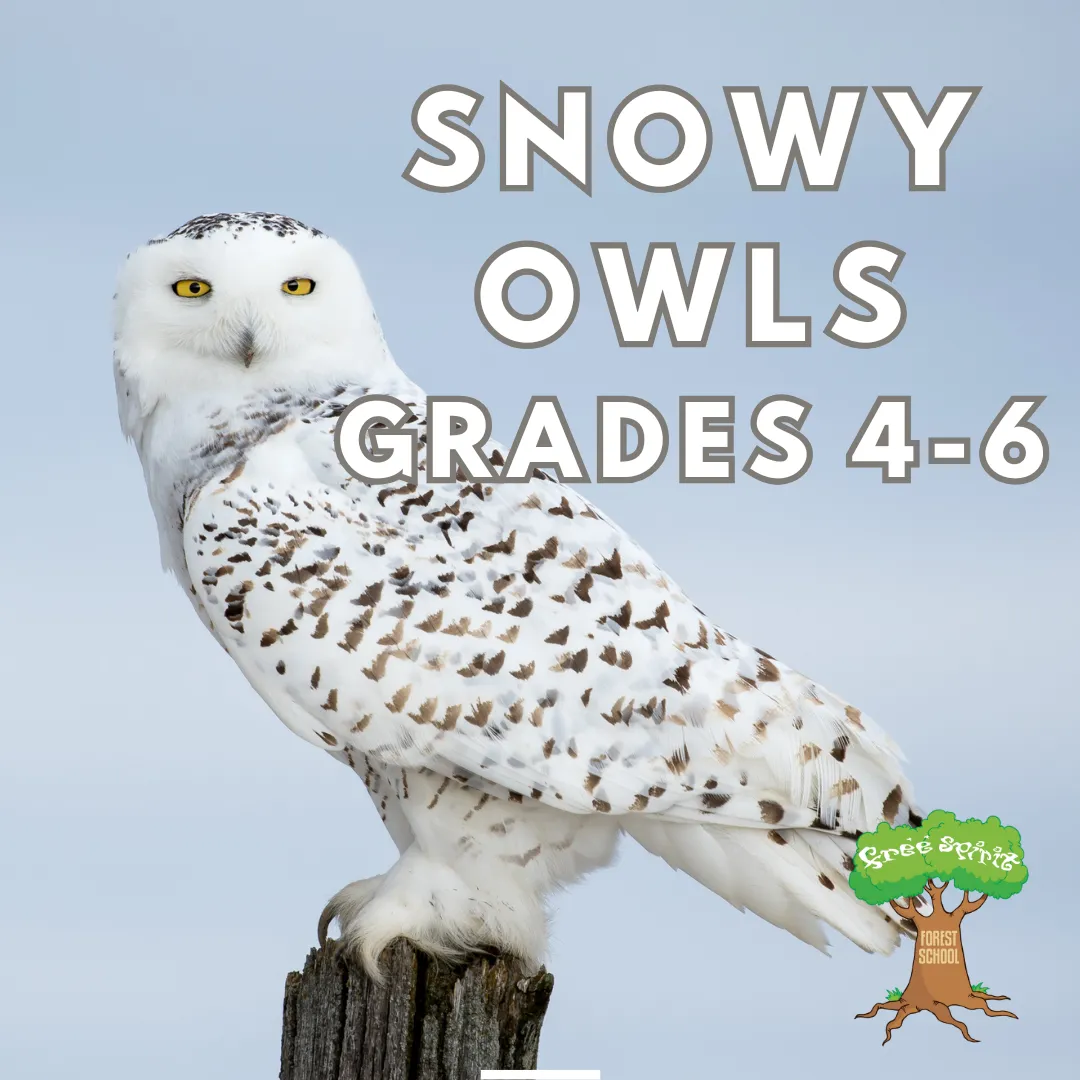 Free Spirit Forest and Nature School campus photo 6