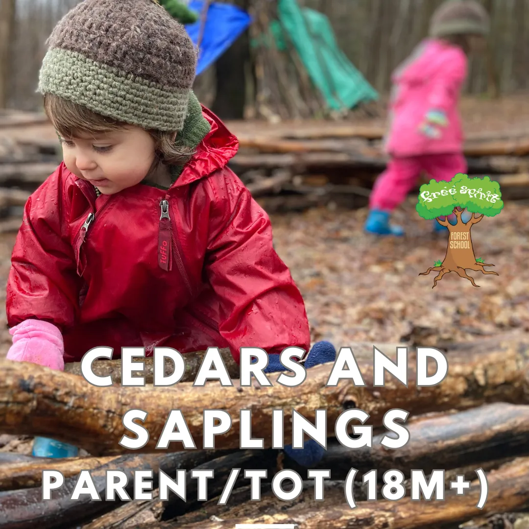 Free Spirit Forest and Nature School campus photo 7