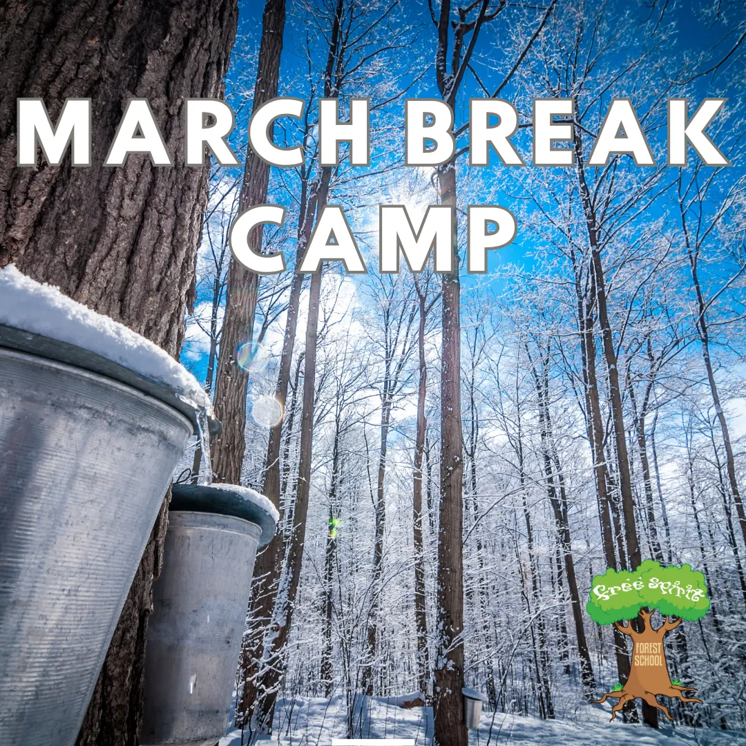 Free Spirit Forest and Nature School campus photo 8