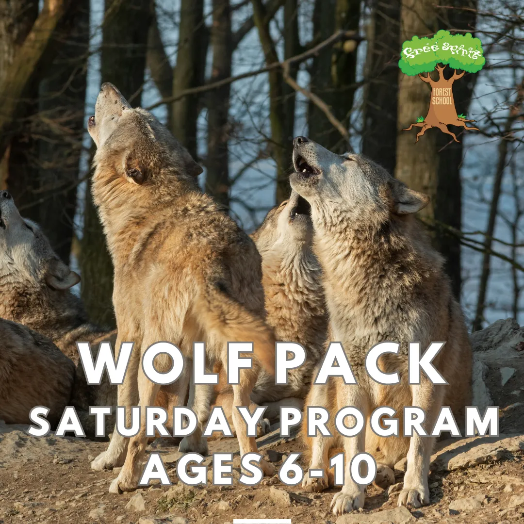 Free Spirit Forest and Nature School campus photo 9