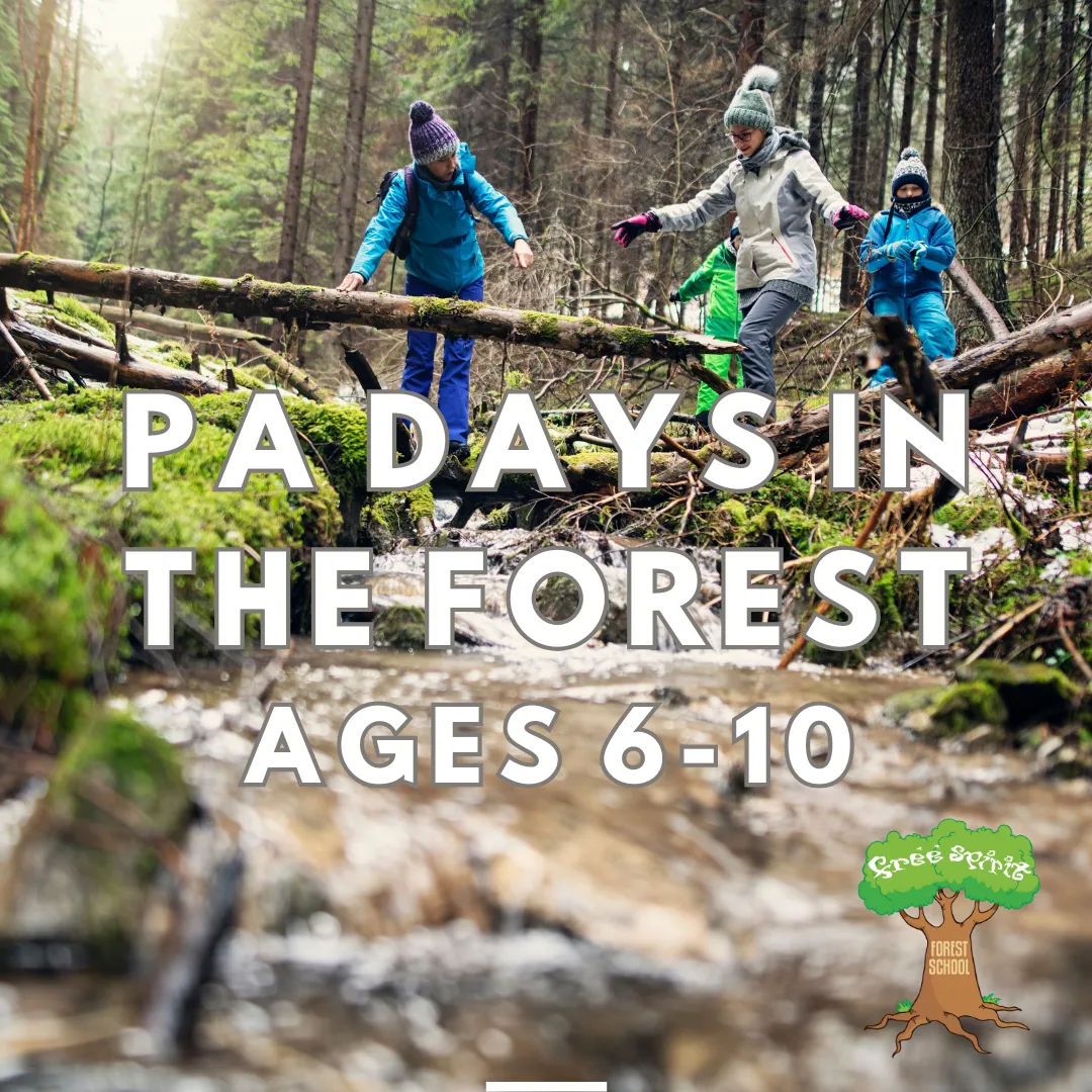 Free Spirit Forest and Nature School campus photo 10