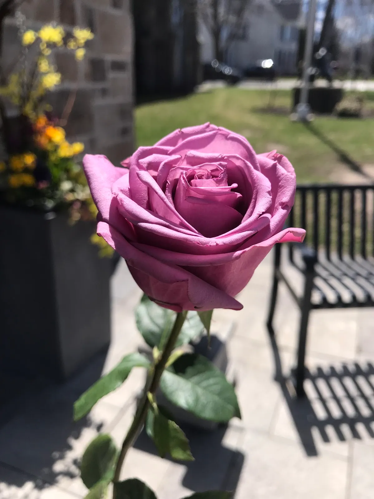 Halton Hills Christian School campus photo 8